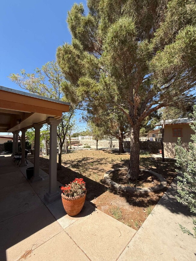 Building Photo - 10449 Chinaberry Dr