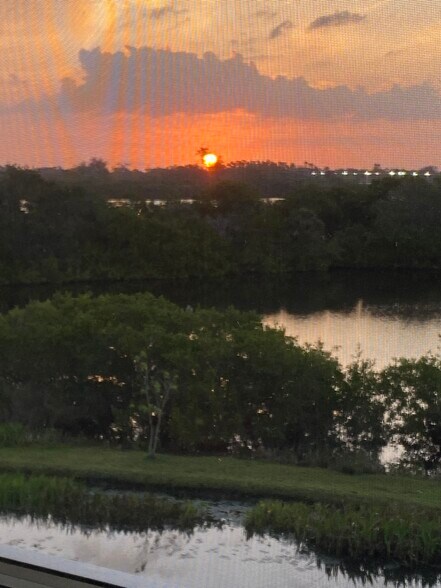 Patio View - 6551 Shoreline Dr