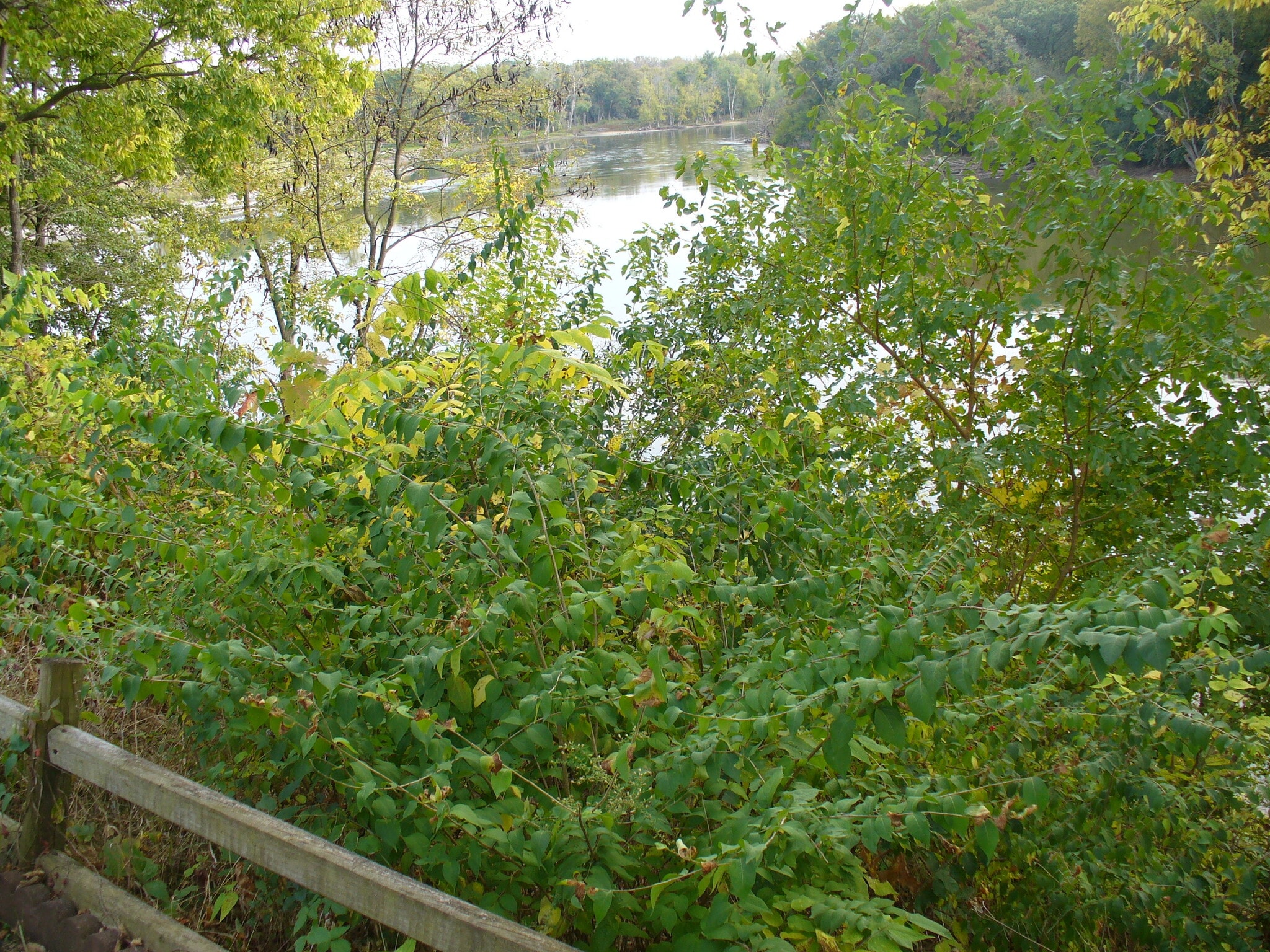 Building Photo - 11293 Edgemere Ter