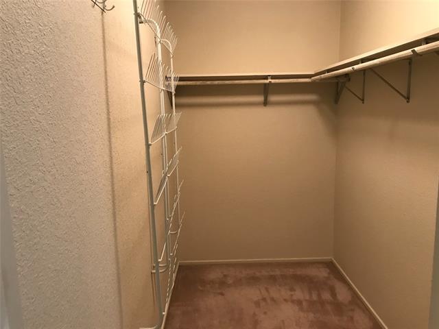 Building Photo - 1633 Chachalaca Ln