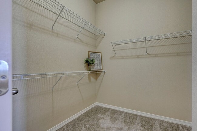 Building Photo - STUNNING RANCHER IN STERLING RANCH WITH MOUNTAIN VIEWS!!!!