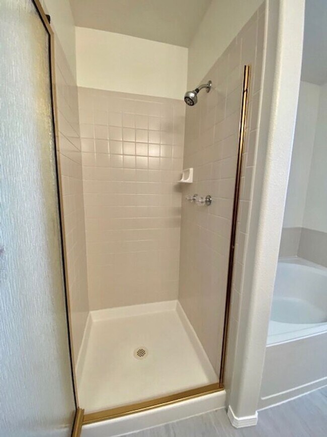 Building Photo - Spacious Briargate 4 Bedroom/3.5 Bathroom Home with huge Yard