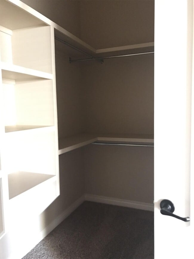 Building Photo - 3677 Grand Cayman Ln