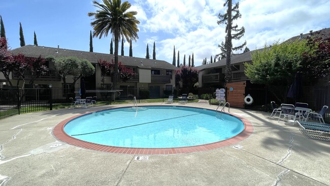 Building Photo - Walnut Creek! 1 bedroom 1 bath  excellent location walk to Bart & Bay Club, minutes to Downtown!