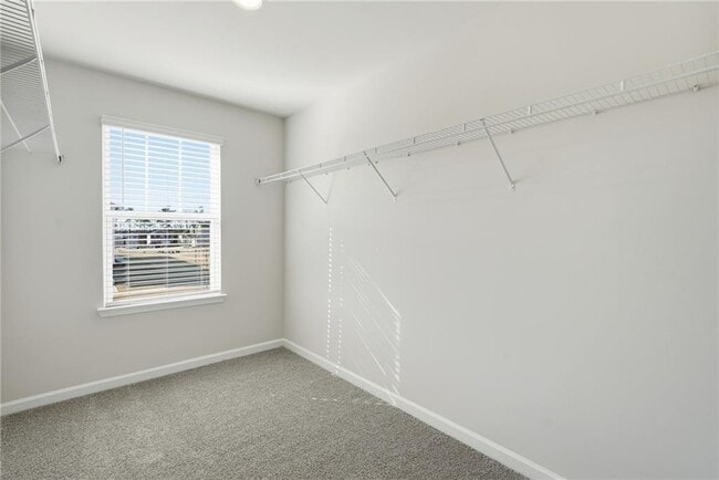 Building Photo - 1503 Wild Fox Run