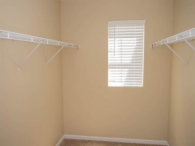 Building Photo - 4588 Camden Ln