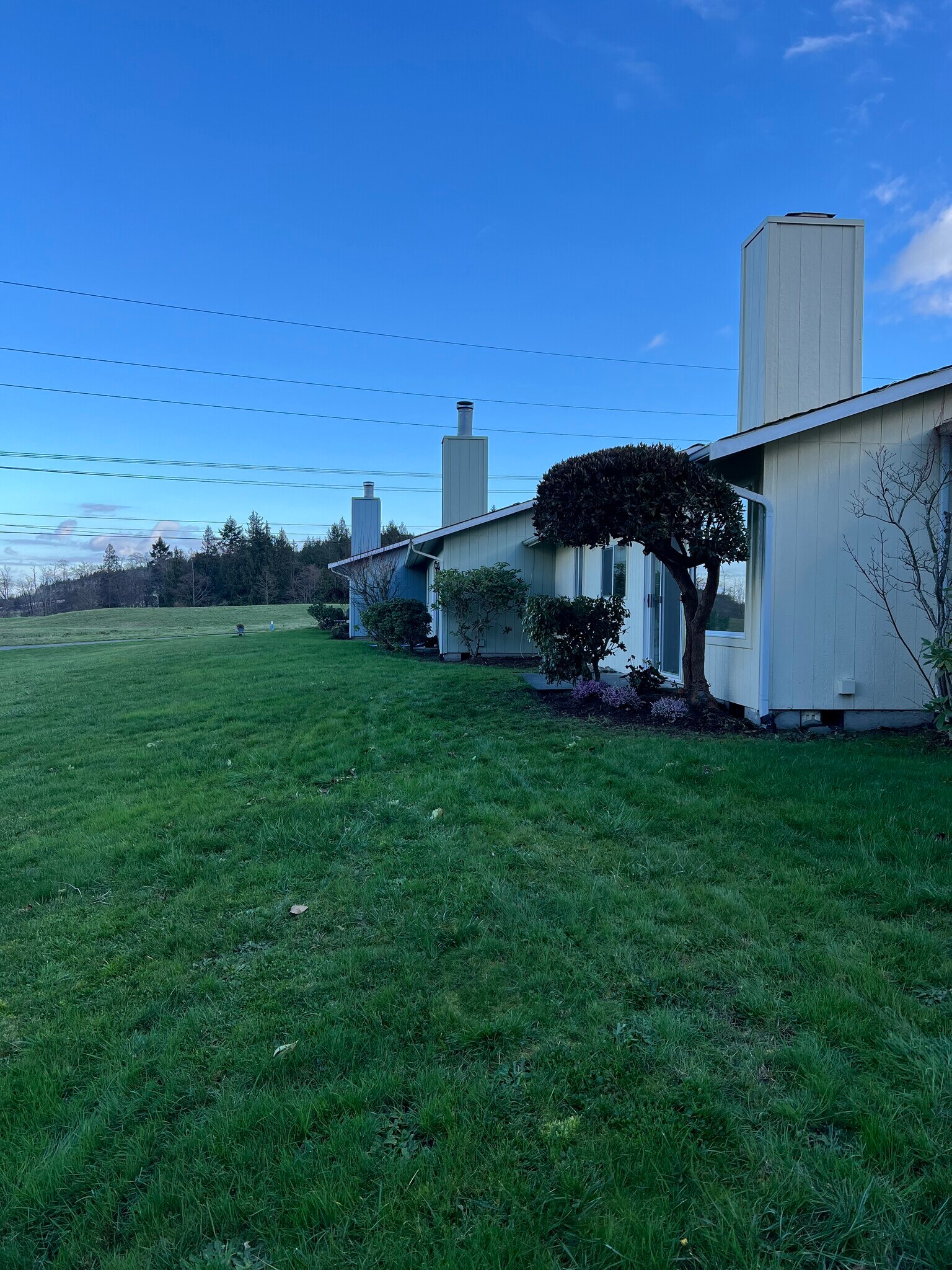 Building Photo - 1045 3rd Ave