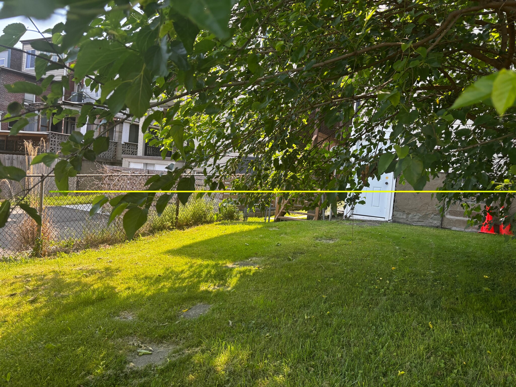 Backyard - 3313 Ward St