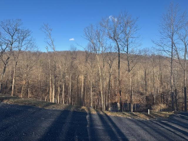 Building Photo - "Charming 3-Bed Oasis with Private Beach Access & Modern Upgrades on Black Twig Road!"