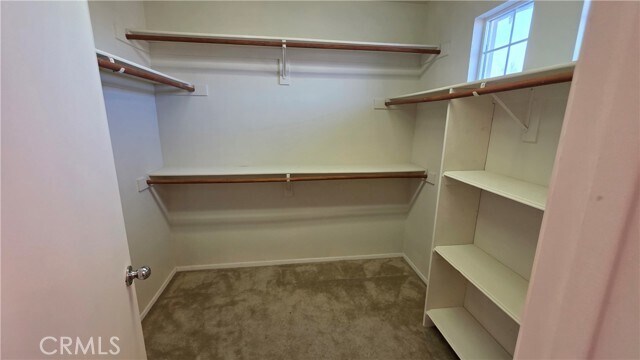 Building Photo - 14279 Wildcat Ln