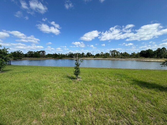 Building Photo - 1153 Oceanic Rd