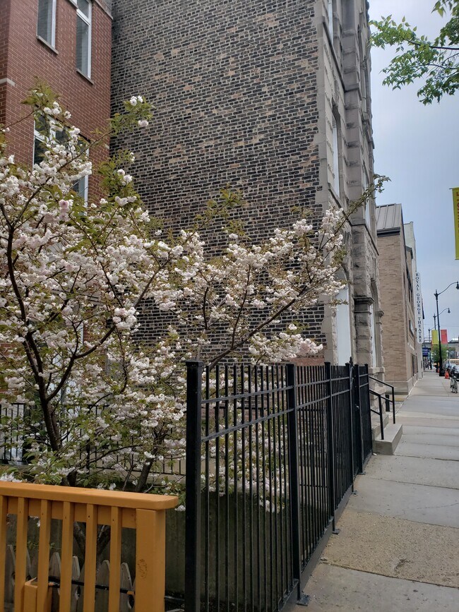 Building Photo - 1653 N Halsted St