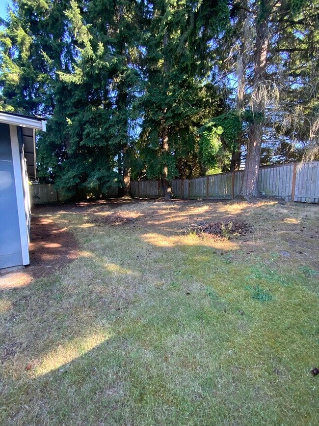 Building Photo - Immaculate N Tacoma 3bdr 2bath with full size W/D