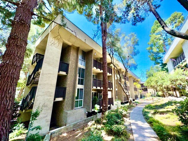 Building Photo - 6202 Friars Rd