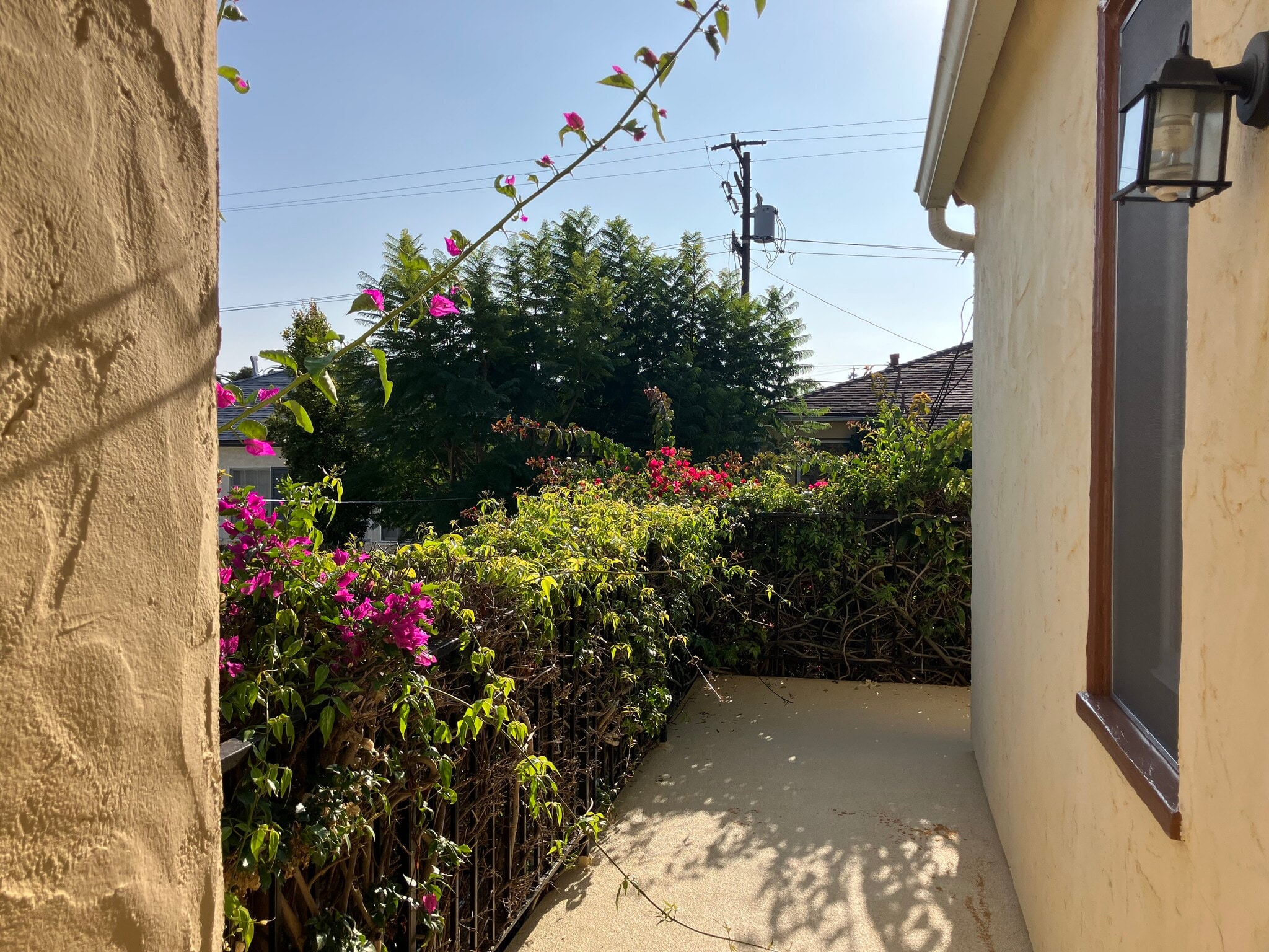 Building Photo - 834 12th St