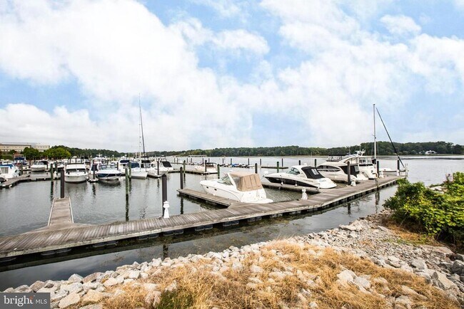 Building Photo - 830 Belmont Bay Dr