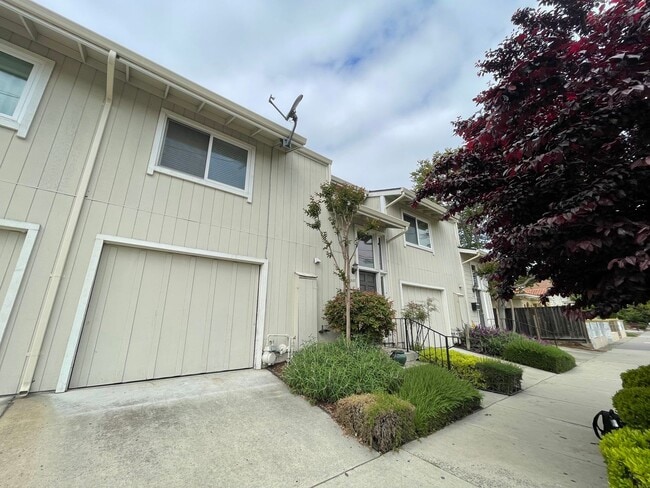 Building Photo - Walk to Japantown,  Updated 2 / 2.5, Cat &...