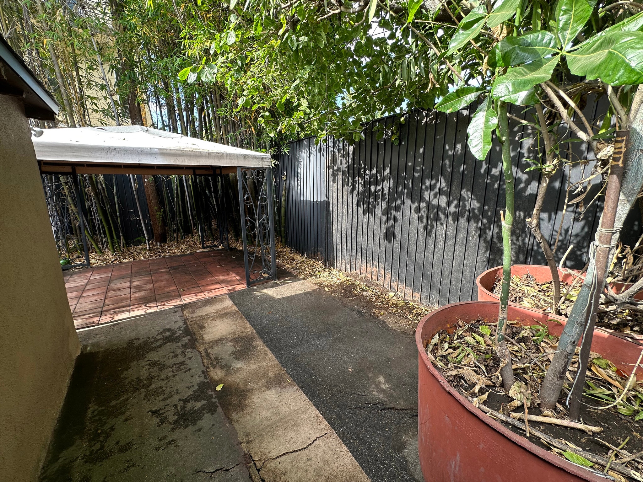 Gazebo 01 - 10809 Huston St