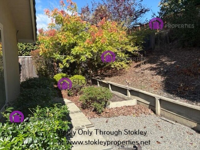 Building Photo - 231 Ivy Dr