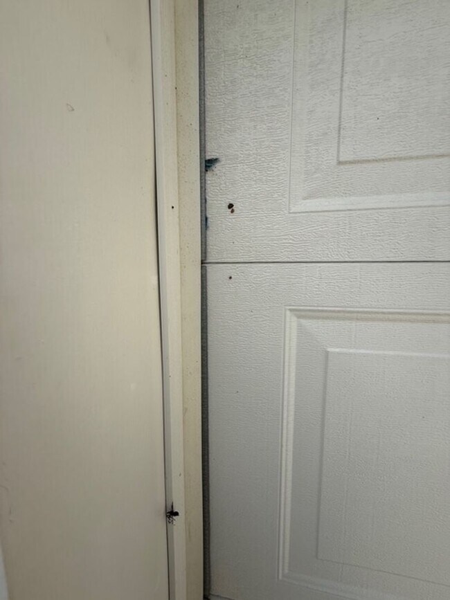 Building Photo - Beautiful 3/2 Single Family house with 2 car garage