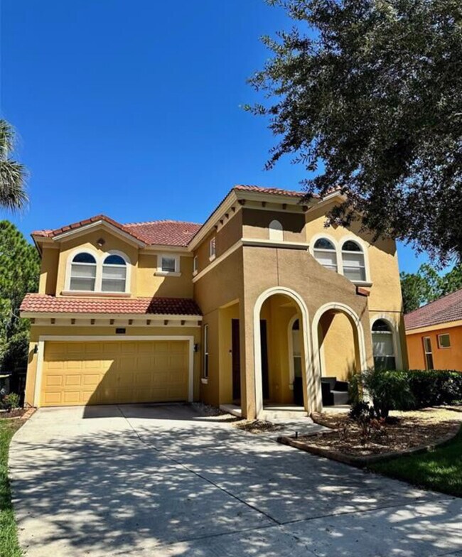 Primary Photo - 508 Orange Cosmos Blvd