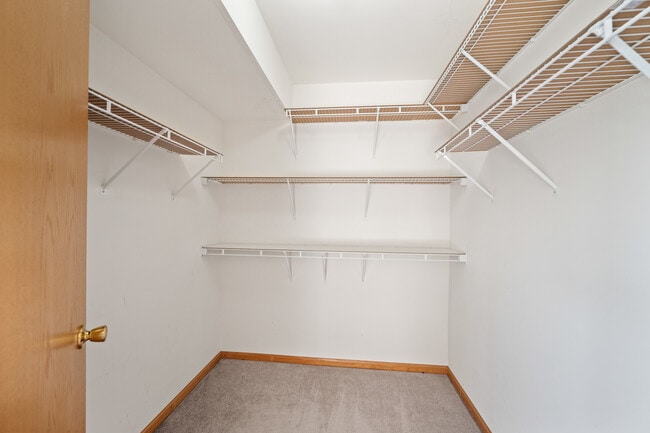 Building Photo - 2774 Borkshire Ln