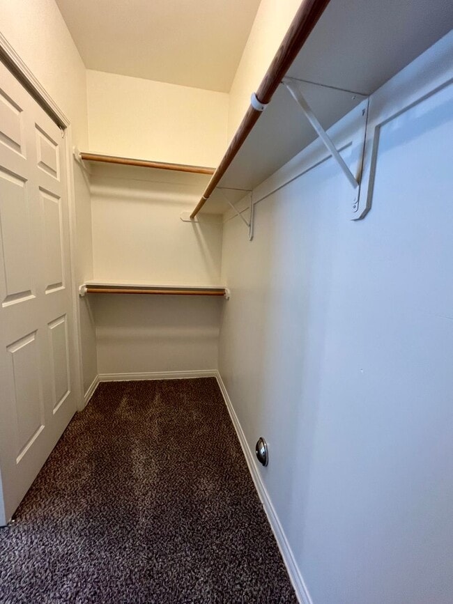 Building Photo - 708 Meadow Grove Ct