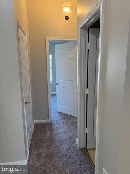 Building Photo - 113 Pinecove Ct