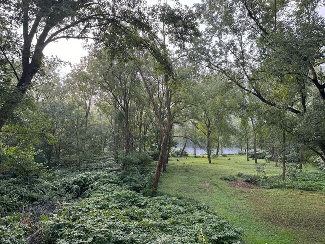 Building Photo - Riverfront home in a quiet spot, 3 acres, ...
