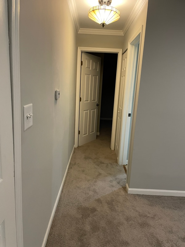 Building Photo - 1905 Tall Oaks Dr