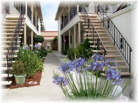 Building Photo - 3456 Redwood Ct