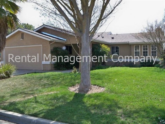 Primary Photo - freshly painted , new carpet, big yard wit...