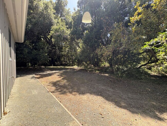 Building Photo - Beautiful 2BD/2BA ADU in Peaceful Portola Valley Setting