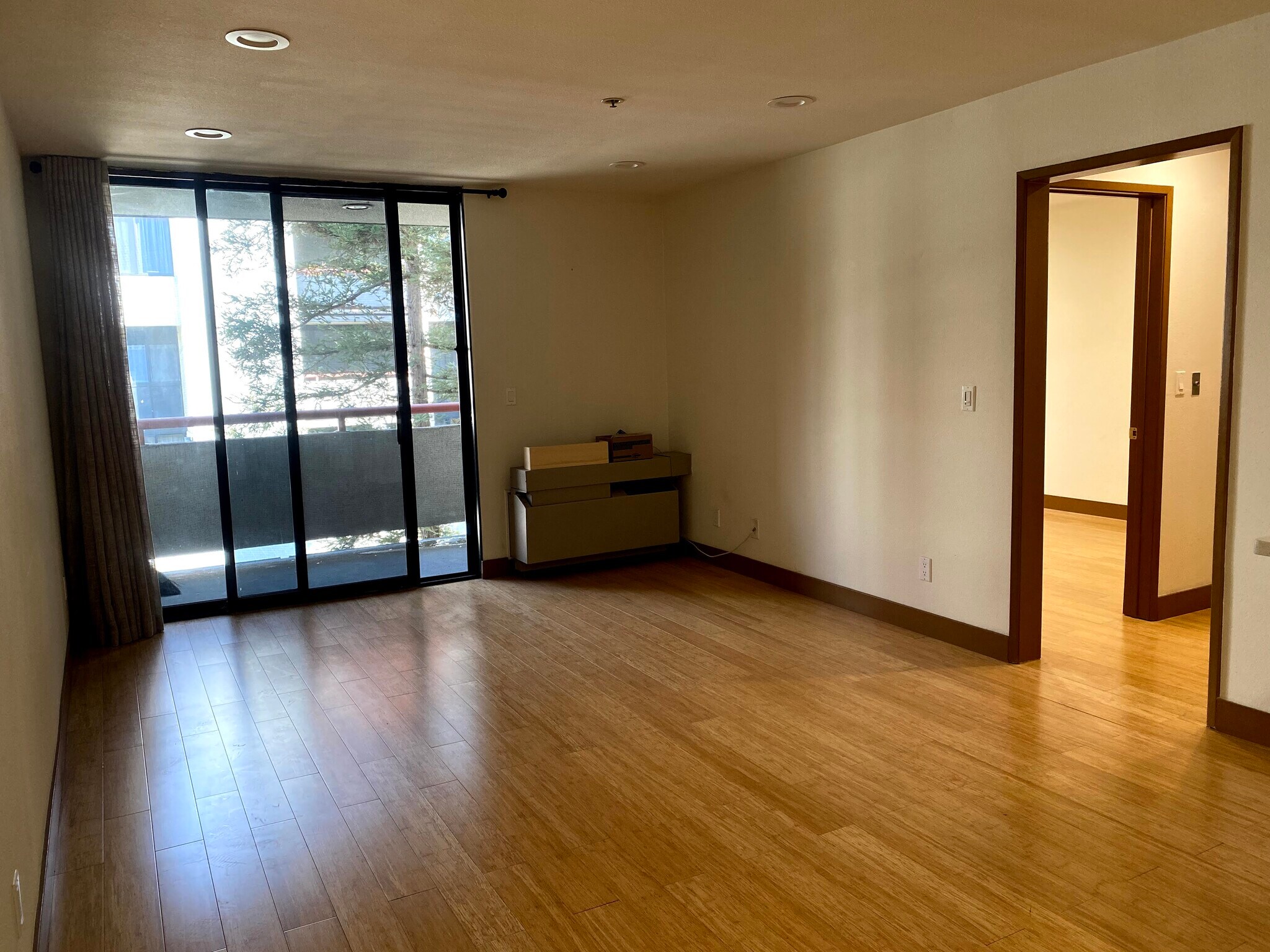 Living room - 222 S Central Ave