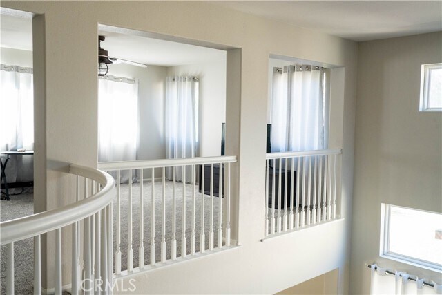 Building Photo - 36719 Torrey Pines Dr