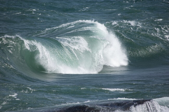 Building Photo - 1802 Minnesota Ave