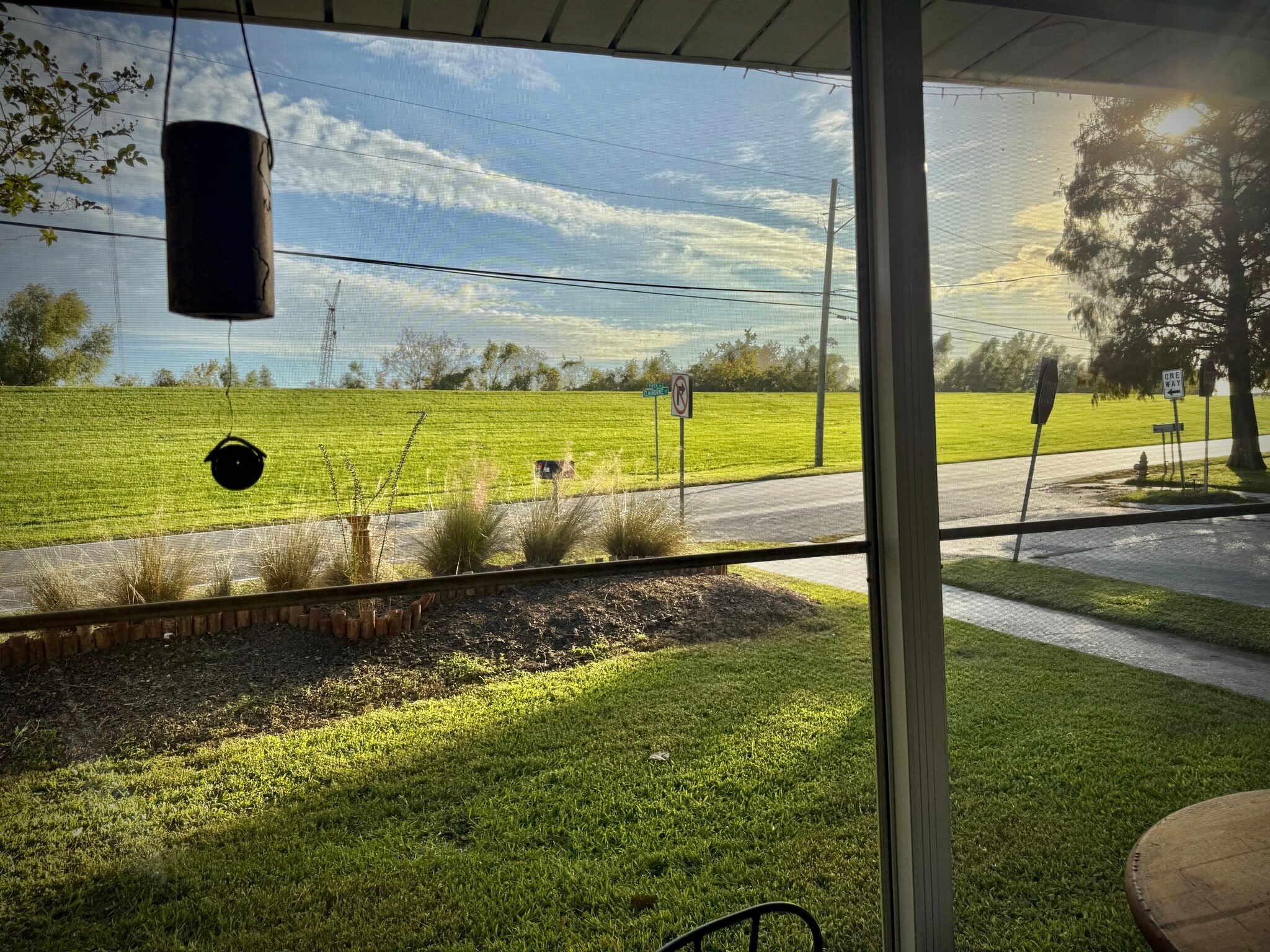 Levee view from the screened in front porch - 3311 River Rd