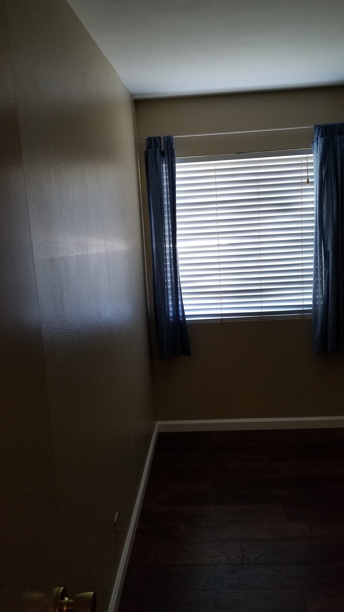 Building Photo - 1741 Lahoud Dr
