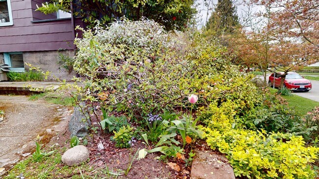 Building Photo - The Perfect Restored University Heights Home -available for rent now!