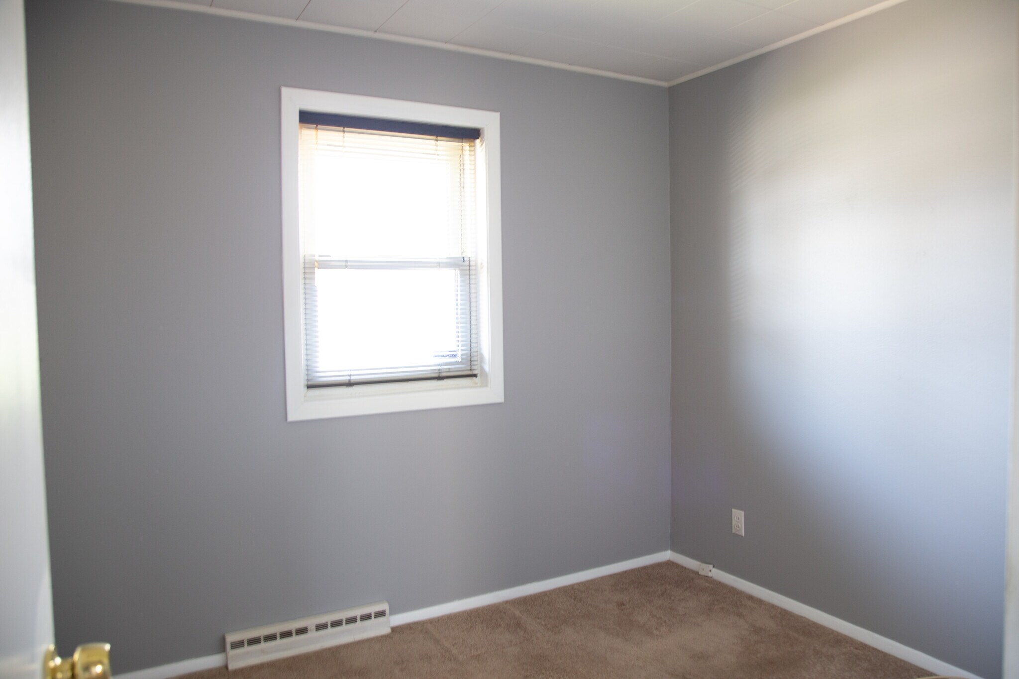 Building Photo - 1371 Cove Ln