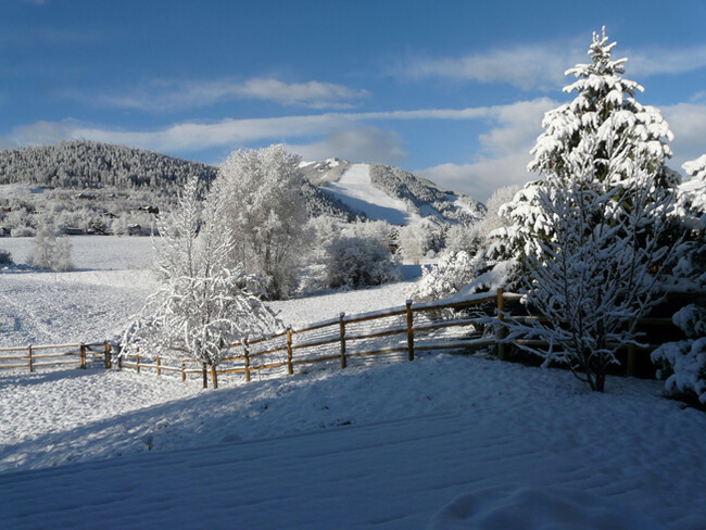 Winter Backyard view of Aspen Highlands (center) & Aspen Mtn (left) - 46 Heather Ln