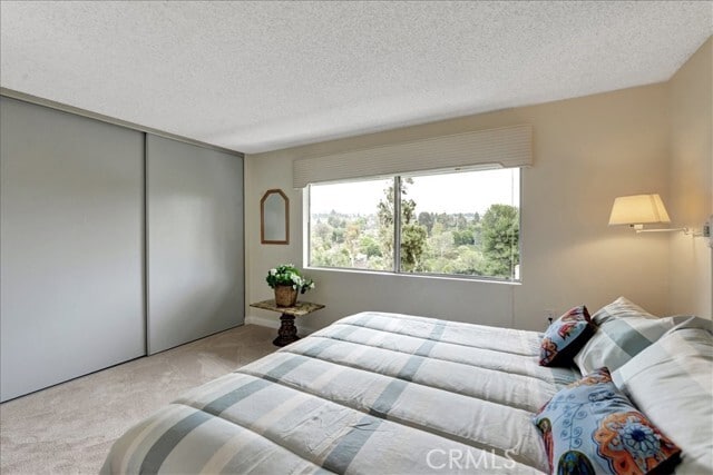 Building Photo - 3338 Punta Alta