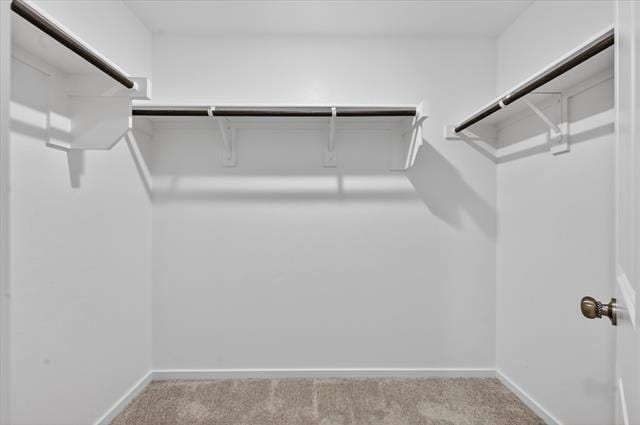 Building Photo - 1429 Erie Dr