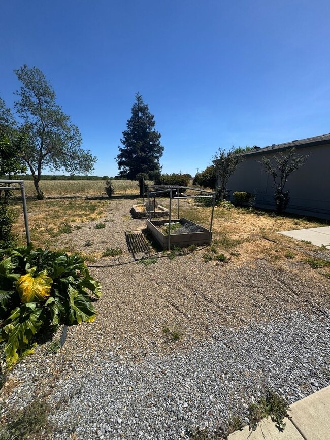 Building Photo - 4 Bed / 2 Bath Country Home – Solar + Move-In Ready