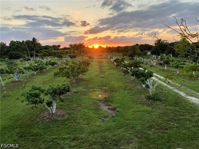 Building Photo - 13098 Ficus Tree Ln