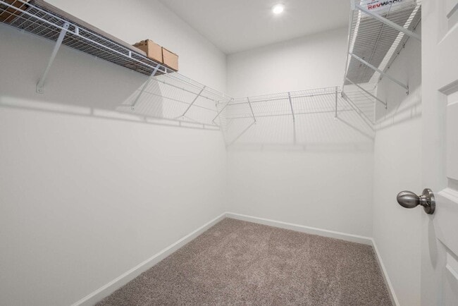 Building Photo - 5339 Bellflower Hls