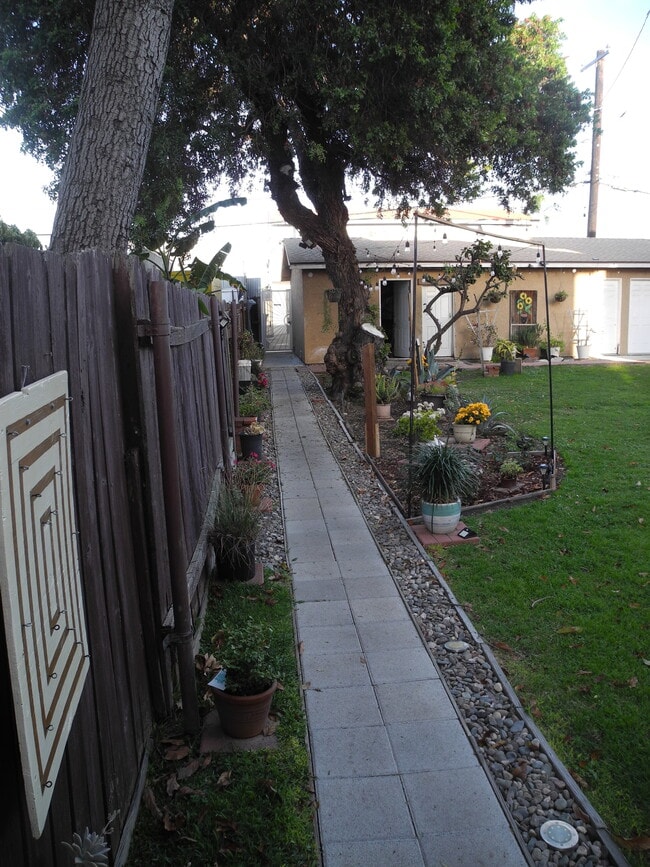 Backyard - 1934 Henderson Ave