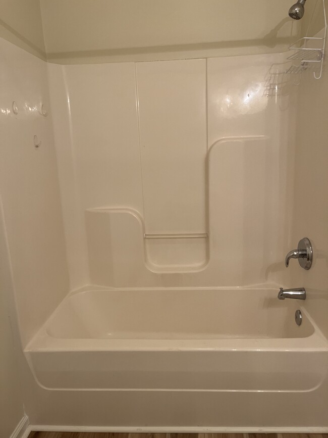 Guest Bathtub - 532 Lionshead Rd
