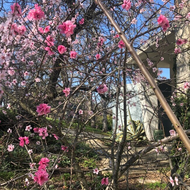 Building Photo - 108 Lost Oak Ct