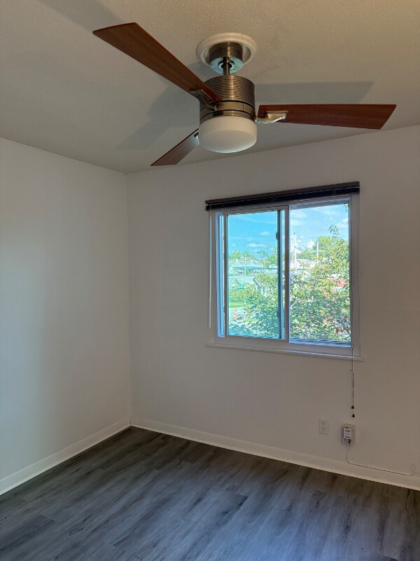 Building Photo - 807 W 40th St